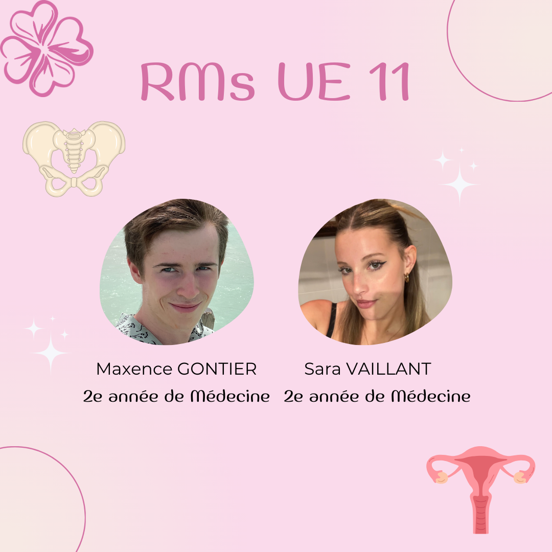 RM UE11